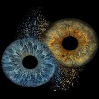 Udruga Iris